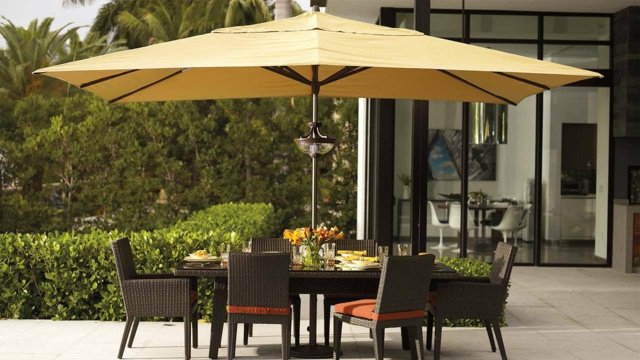 parasol